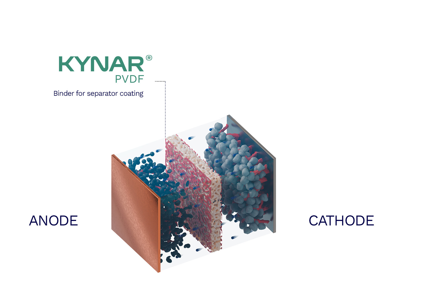 KynarPVDF Separator Coating.jpg